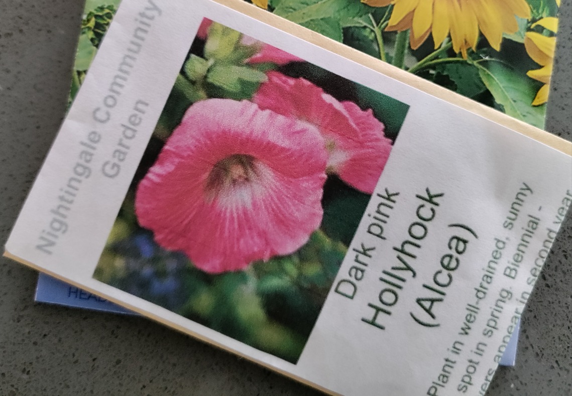 QE Community Garden seeds
