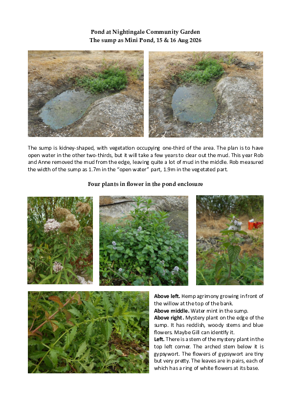 A PDF with photographs showing the 'sump' area of the pond and wildlife within it, with text explanations. Transcription below