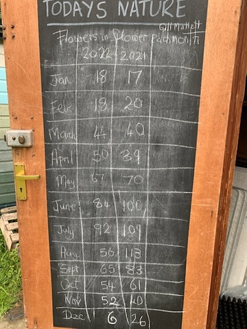 list of species found in garden by month