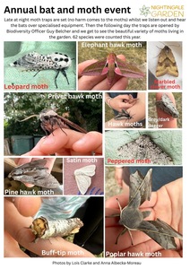 Moth day finds!