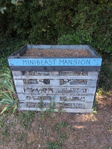 Minibeast Mansion
